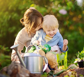 Bild für lokalen Link