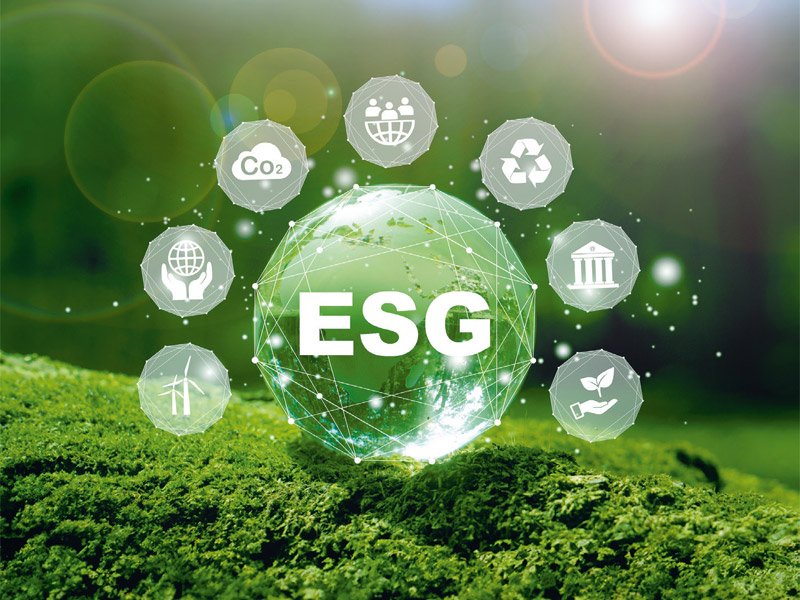 Auf einer grünen Wiese schwebt eine helle, grüne Blase mit dem Schriftzug 'ESG'.